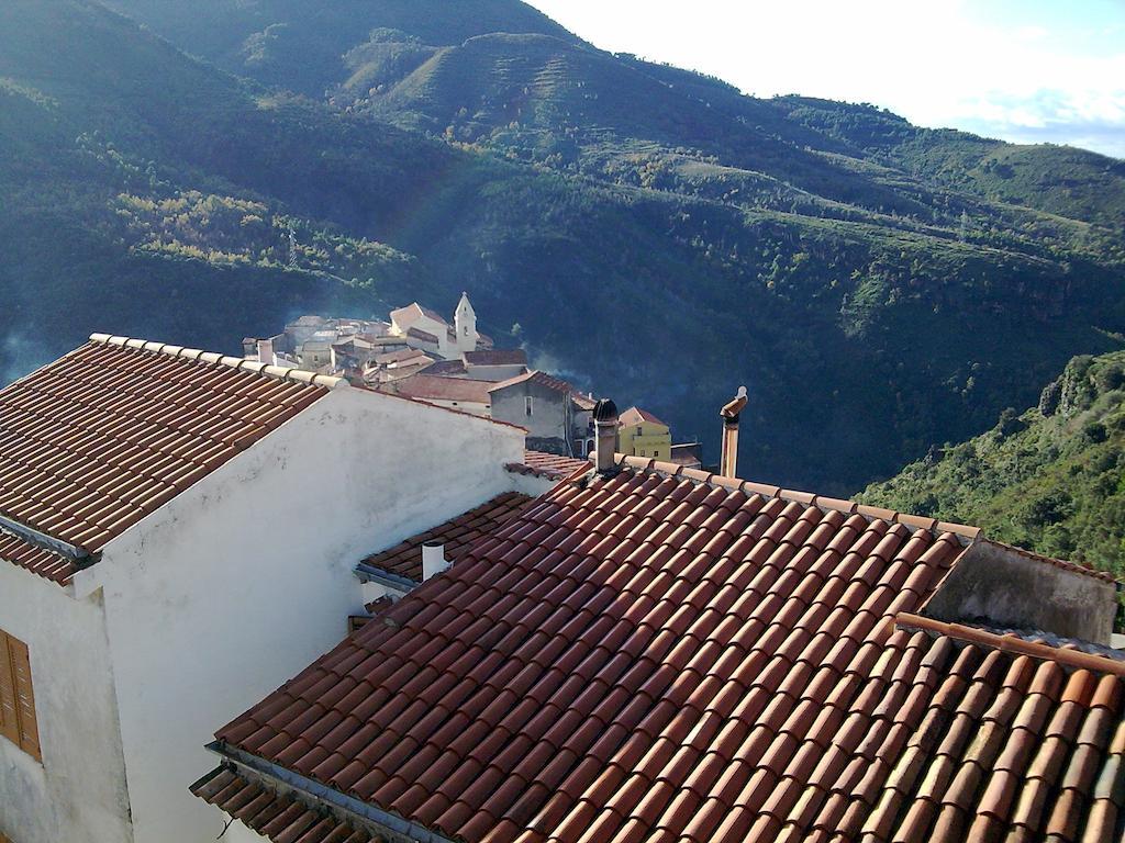 Il Giardino Di Julia B&B Tortora Exterior foto